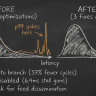 Why Textbook C++ Optimizations Wreck p99 Latency in HFT: A Three-Root-Cause Post-Mortem - 2026 03 24 sc009 p99 before after